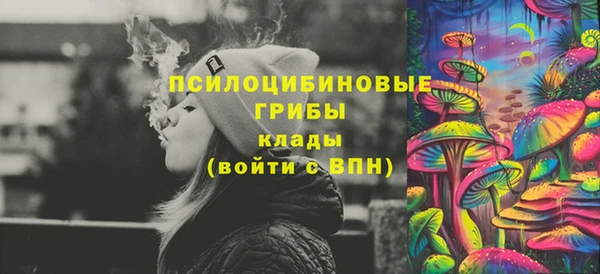тгк Алексин