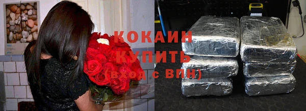 тгк Алексин
