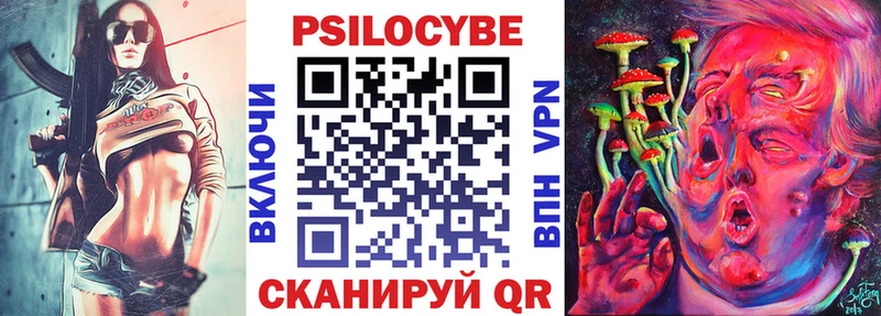 Галлюциногенные грибы Psilocybine cubensis Нестеров